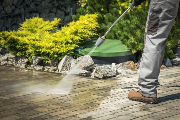 Best Animal Enclosure Cleaning  in Freedom, CA