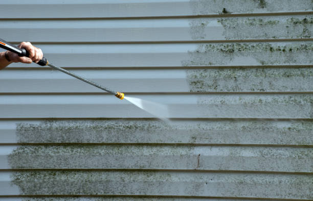 Best Sidewalk and Walkway Cleaning  in Freedom, CA